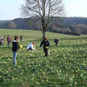 DSCF2978-1 [HDTV (720)]