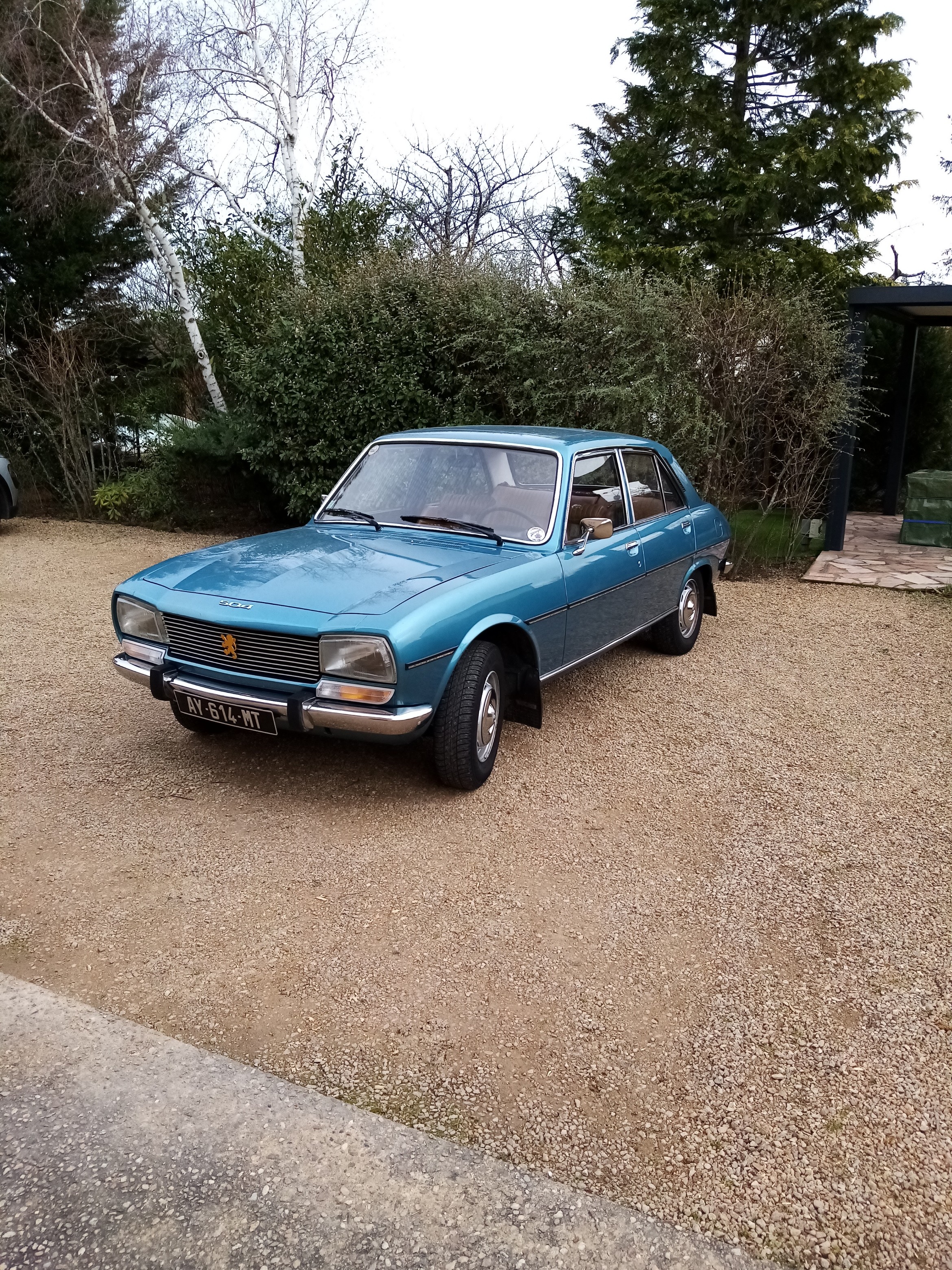 PEUGEOT 504 TI  1974