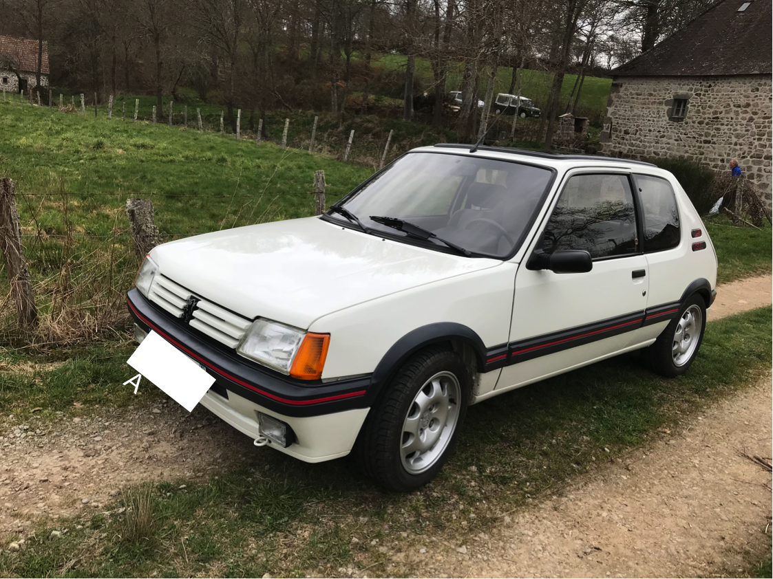 PEUGEOT 205 GTI   1987